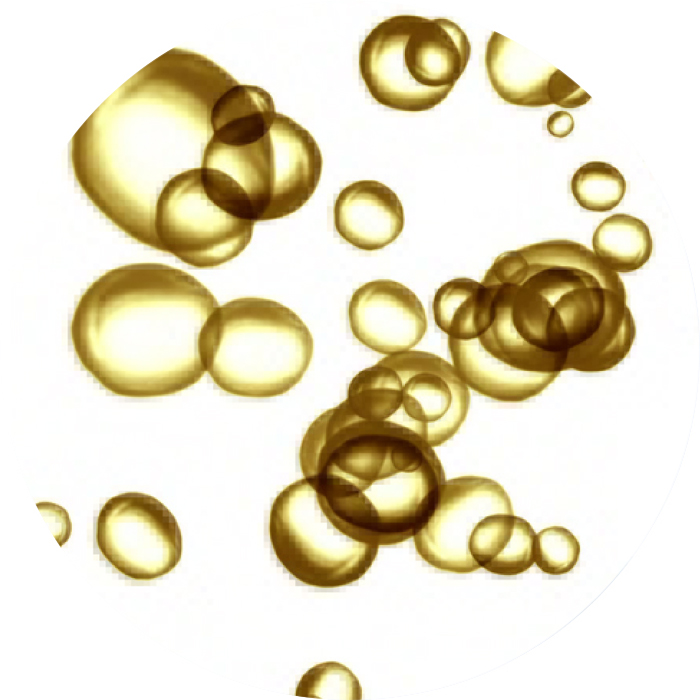 9種のアミノ酸イメージ