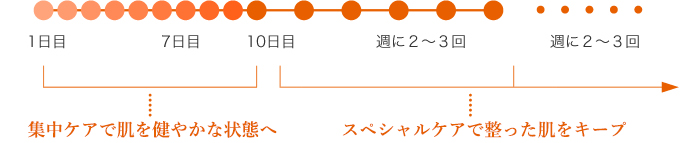 1日目〜集中ケアで肌を健やかな状態へ 10日目〜スペシャルケアで整った肌をキープ