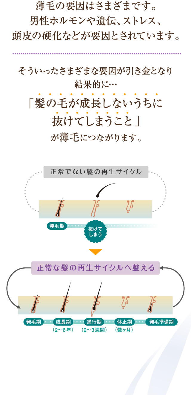 その原因は?