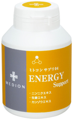 ENERGY Support
