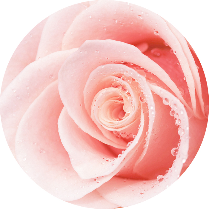 ノバラ油アロマ成分イメージ